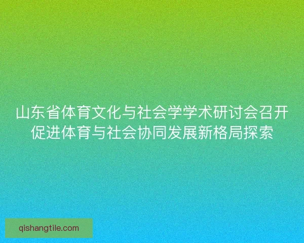 山东省体育文化与社会学学术研讨会召开促进体育与社会协同发展新格局探索